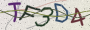 Security code image