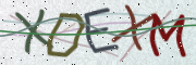 Security code image